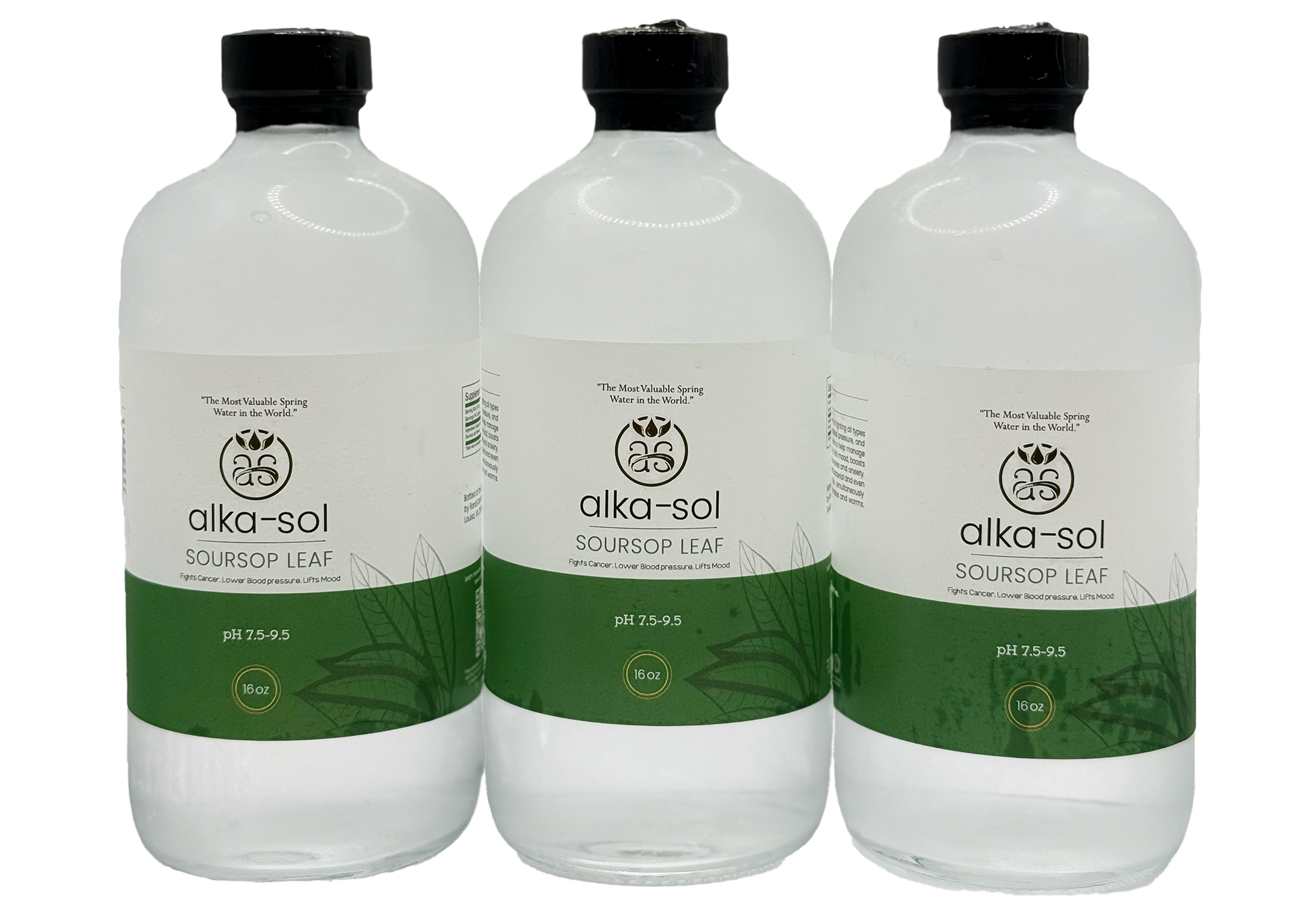 SOURSOP LEAF TONIC - (16 oz - 3 pk)