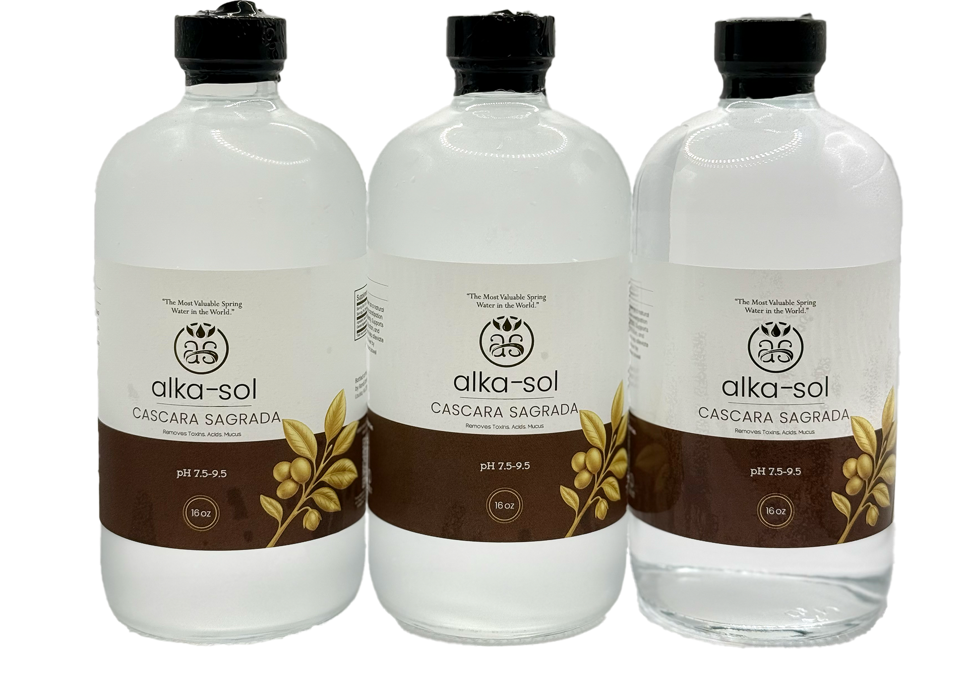 CASCARA SAGRADA TONIC - (16 oz - 3 pk)