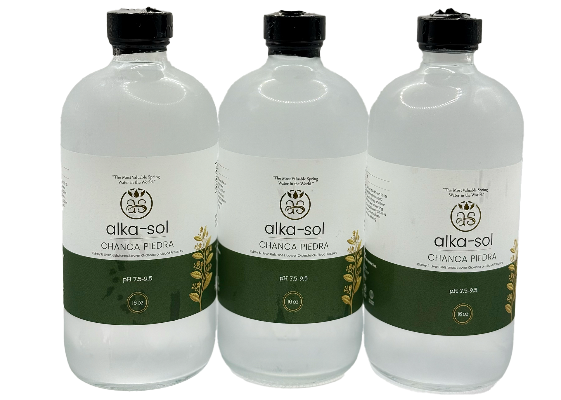 CHANCA PIEDRA TONIC - (16 oz - 3 pk)