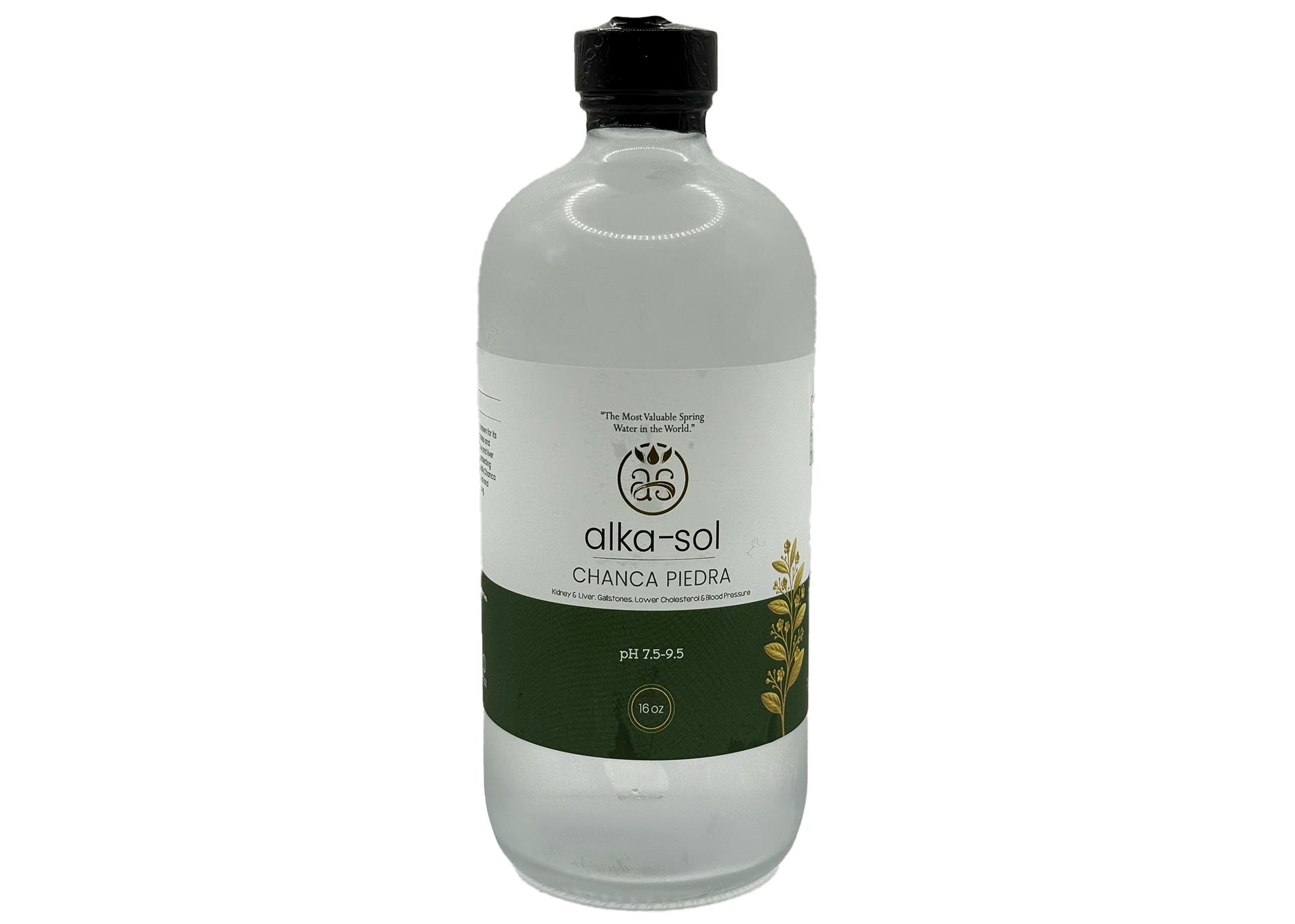 CHANCA PIEDRA TONIC - (16 oz)
